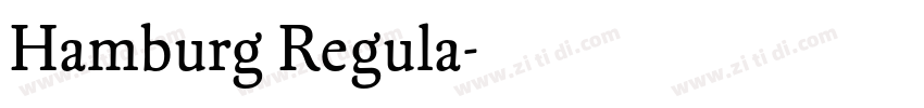 Hamburg Regula字体转换